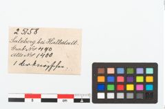 Etikett zu Bronzeknopf (NHMW-PRAE-025158)